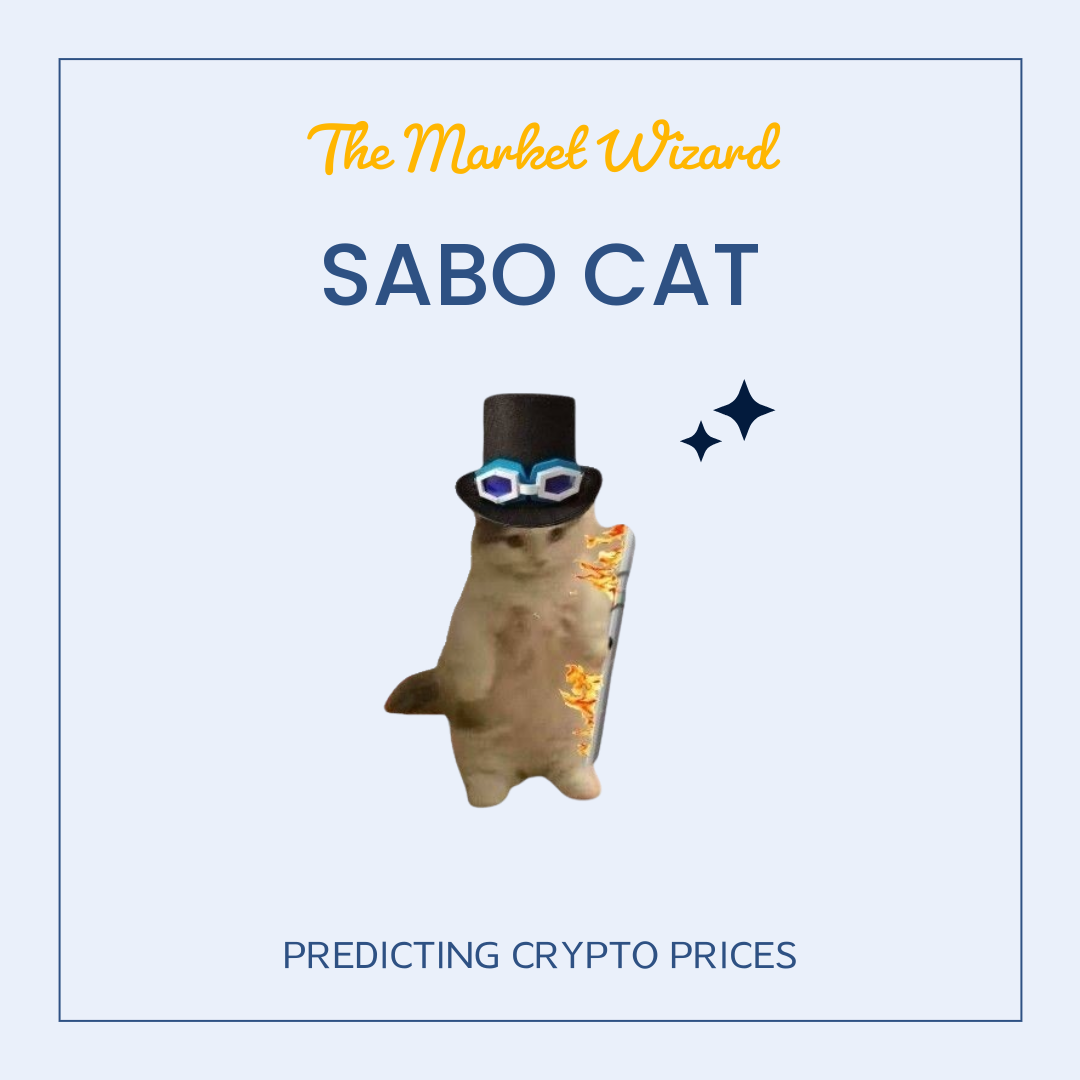 Sabo Cat Wizard